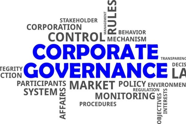 corporate-g Corporate Governance Support